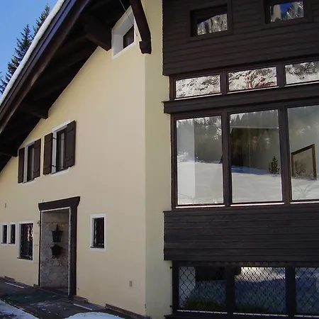 Appartementhaus Hochkönig 1 - Alpenrose Apartment Mühlbach am Hochkönig