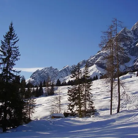Appartementhaus Hochkoenig 1 - Alpenrose *