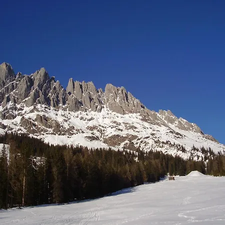 Appartementhaus Hochkoenig 1 - Alpenrose דירה