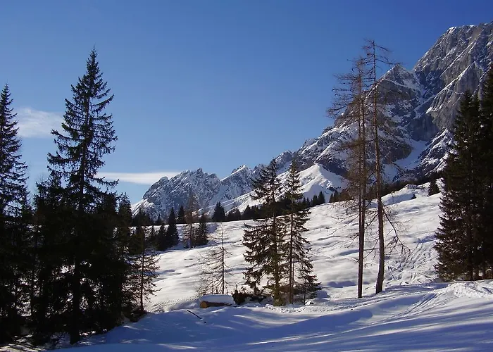 Appartementhaus Hochkoenig 1 - Alpenrose *