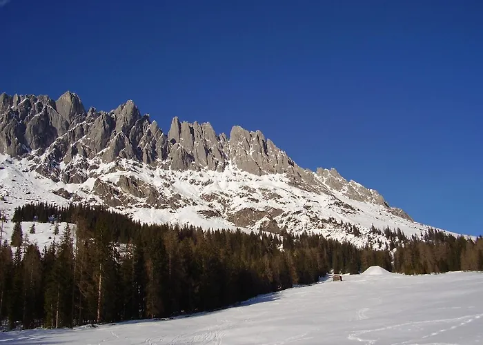 Appartementhaus Hochkoenig 1 - Alpenrose 아파트
