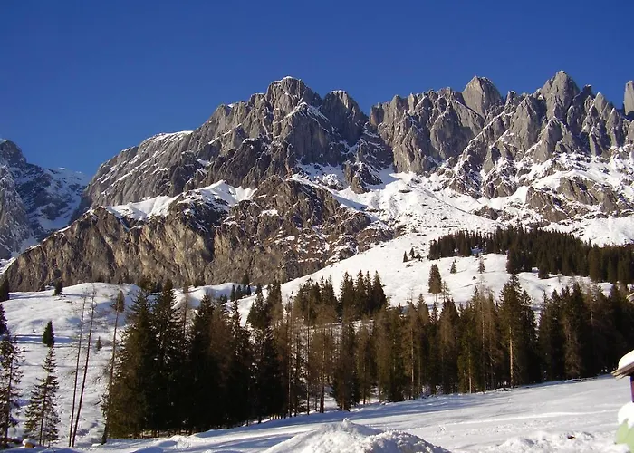 Appartementhaus Hochkoenig 1 - Alpenrose *